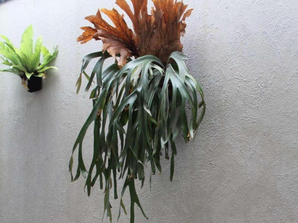 Casa Living Setiabudi Yakarta Exterior foto